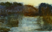 Flood and trees