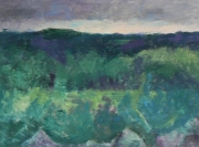 Les Vignes III