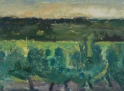 Les Vignes I