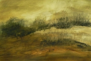 Brousailles et arbres