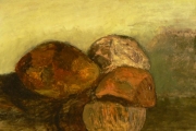 Colorful coconuts