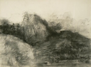 Etudes d'arbres